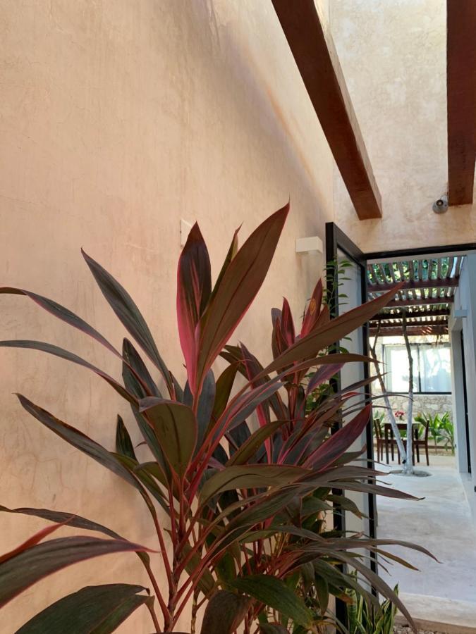 Yuluc Pina Coloradas Ecolodge المظهر الخارجي الصورة
